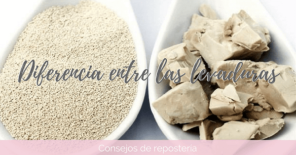 ¿Qué diferencia hay entre las levaduras?